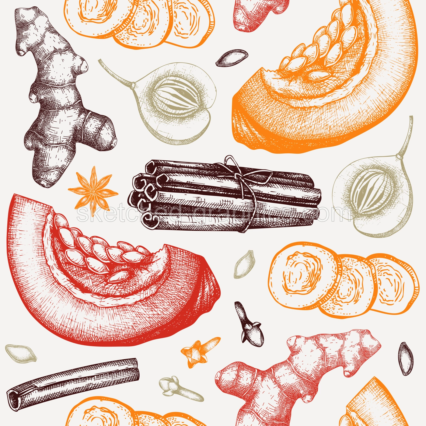 Autumn background with pumpkin spices sketches. Pumpkin cake ingredients seamless pattern. Anise star, ginger, cinnamon, nutmeg, cloves backdrop in color. Traditional fall food illustration Illustration